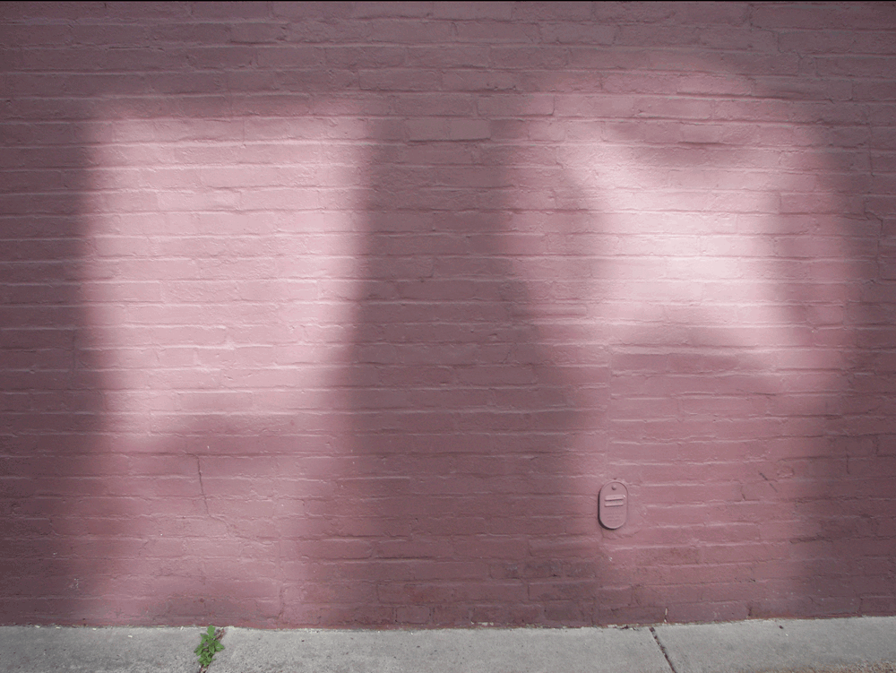 light beings (Lorraine & Charles), DoN Brewer Photography